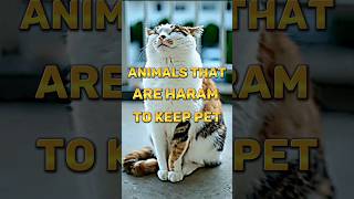 Animals That Are Haram To Keep Pet 😲 #animals #haram #keep