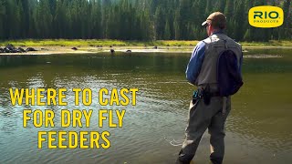 Casting To Dry Fly Feeders In A Lake