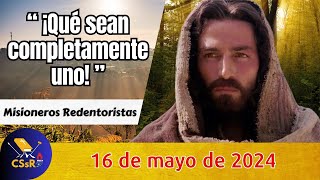 Evangelio de HOY jueves 16 de mayo. Jn 17,20-26 ¡Qué sean completamente uno!