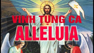 #323 | VINH TỤNG CA - ALLELUIA | Hướng dẫn đệm đàn Phụng Vụ