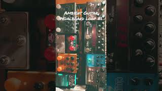 Strymon El Capistan lofi loop #ambient #ambientguitar #guitarpedals #pedalboard