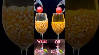 1000°C RHCB vs Corn+ Water & Corn + Oil💧🌽😱#satisfyingvideo #asmr #experiment #science