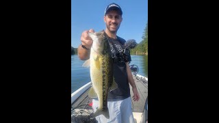 Lake Allatoona Schooling Hybrids, White Bass, and Spots - 9/10/21