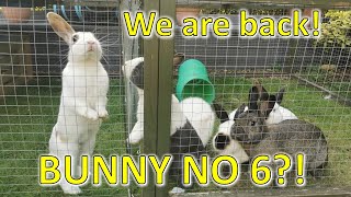 We're back! BUNNY NO 6?!