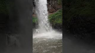 waterfall in the jungle