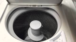 Ingles washer whining noise