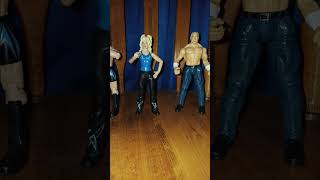 Hard-core, Crash, and Molly Holly. Wwf titan tron figures.  #wrestling  #toys #wwe