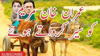 Maryam Nawaz Funny Video | Imran Khan Funny Video | Nawaz Sharif | Village Life 741