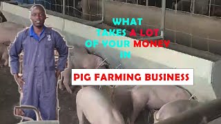 FEED COSTS;  Right Piggery Production STRATEGIES to survive and push your farm further