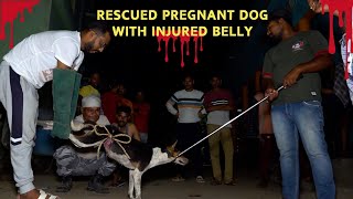 गर्भवति कुत्ते का रेस्क्यू: 2 साल से पेट में बंधा हुआ था रस्सी | Pregnant Dog Rescue