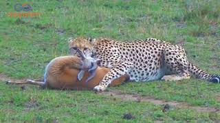 MASAI MARA