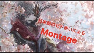 日本鯖ゼドモンタゲ Zed Montage  league of legeneds