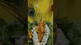 Radha Krishna devotional song #janmashtami #radhakrishna #home #decoration #pooja #love #music #art