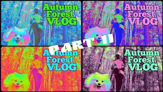 Ухожу в горы. Одна. Часть 2. Опасно ли в лесу в Корее? / Korea autumn vlog