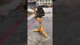 Root carving tea table #Root carving art works #viralvideo #woodenpolish #youtubeshorts