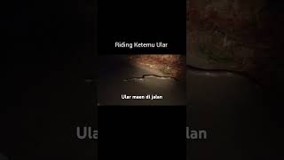 Riding ketemu Ular #video #videos #viral #shortsvideo #shorts