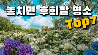 공주 수국명소와 함께 같이 가면 좋은 여행지 7곳 소개해 드릴게요. 지금 바로 가봐야 하는 정말 멋진 명소입니다. 공주 필수여행지가 궁금하시다면 꼭 봐보세요.