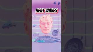 Glass Animals - Heat Waves (Lyric Video)