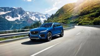 Cat Scratch Fever Jaguar's turnaround looks toward the US