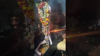 Rudrashtadhyayi Paath | Complete Rudri Path | Powerful Rudra Abhishekam Mantras | For Peace of Mind