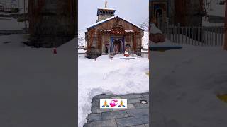 जय श्री केदार 🙏💞🙏 #trending #reels #youtubeshorts #viral #viralvideos #youtube #kedarnath 🛕