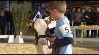 TV BERICHT - Die JUNGZÜCHTERSCHAU in HOLZBUNGE - - - bei ECKERNFÖRDE / RENDSBURG