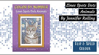 Lines Dots Spots by Jennifer Rolling | Flip and Speed Colour