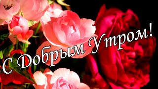 С ДОБРЫМ УТРОМ  !🌼Желаю Самого Доброго Солнечного Утра!🌼  Шикарная Музыкальная открытка 🌼