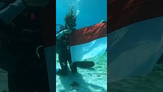 Pengibaran Bendera Merah Putih di bawah laut Labuan Bajo #shorts #dirgahayuindonesia #indonesia