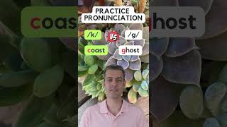 Let's Practice Your American English Pronunciation:  /k/ vs /g/