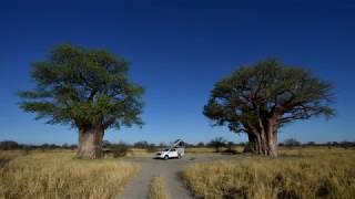 Baines Baobabs and Nxai Pan Waterhole