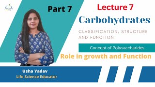 Polysaccharides || Carbohydrates || #biochemistry  || Usha Yadav || #bsc_2nd_year