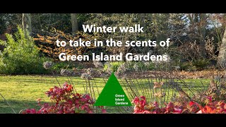 Winter Walk to take in the Scents of Green Island Gardens