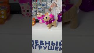 Милая Собачка для Малышей