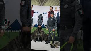 Arranca Unidad canina K9  en Nezahualcóyotl #edomex #noticia #neza #nezahualcóyotl #video #seguridad