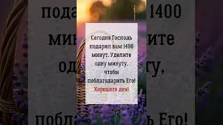 Сегодня Господь подарил вам 1400 минут. Уделите одну минуту, чтобы поблагодарить Его! #молитва