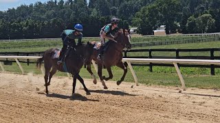 Sever and Falcon Blue galloping on 6/15.