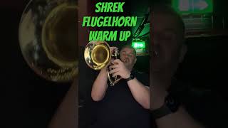 Warming up for 2 shows on #shrekthemusical #flugelhorn #trumpet #trumpetplayer #trumpeter