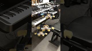 Electric Piano Cat Finding Challenge