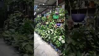 my plant story #the_home_botanist #youtubeshorts