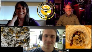 Interview with Kate Anton and Michael Skvarla about Wasps, Hornets, Bees and more!