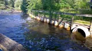 Ann Arbor's Allens Creek At Normal Flows After A Storm by Ken Anderson