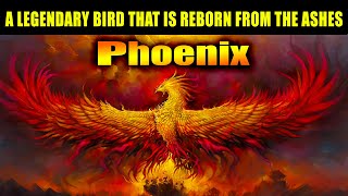 Phoenix - A legendary bird that is reborn from the ashes