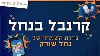 קרנבל בנחל - ניידת השמחה של נחל שורק