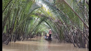 Mekong Delta. My Tho. Vietnam