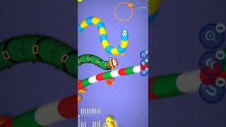 WormsZone 🐍 🐍🐍 magic game play #worms #snake #shortvideo