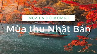 Mùa thu Nhật Bản, những địa điểm ngắm lá đỏ Momiji nổi tiếng