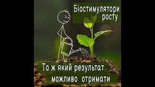 Результат застосування Біостимуляторів росту на прикладі Яблуневого Розсадника ф'г Благословення