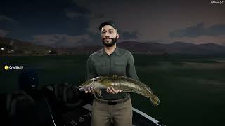 Bottom Fishing for Catfish, Burbot, and Walleye! Call of the Wild: The Angler Chapter 14