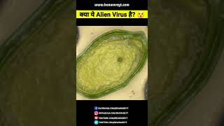 क्या ये एक Alien Virus है? 😲 | #shorts #fact #hindi